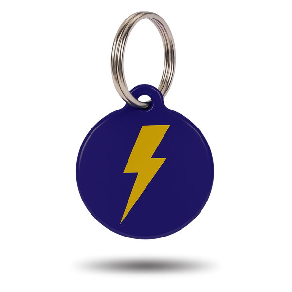 Médaille QR code connectée pour chien, coloris Éclair, marque FurryID