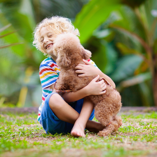 Top 10 des races de chiens et chats adaptées aux enfants